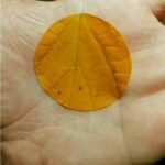 Amazing Coincidences From Around The World