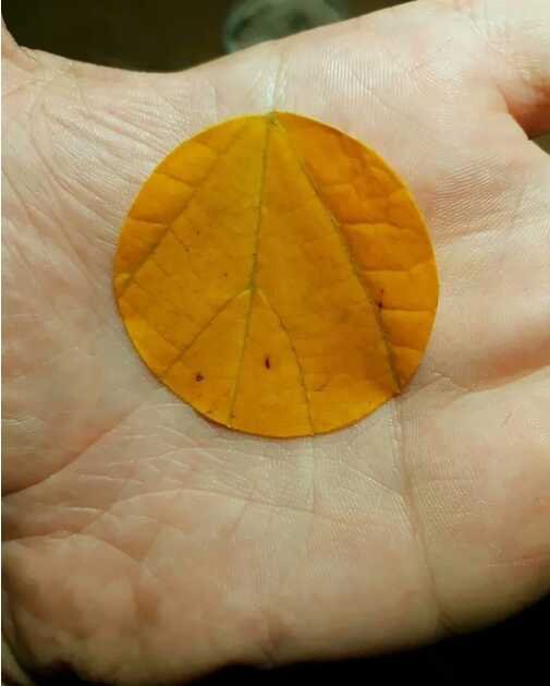 Amazing Coincidences From Around The World