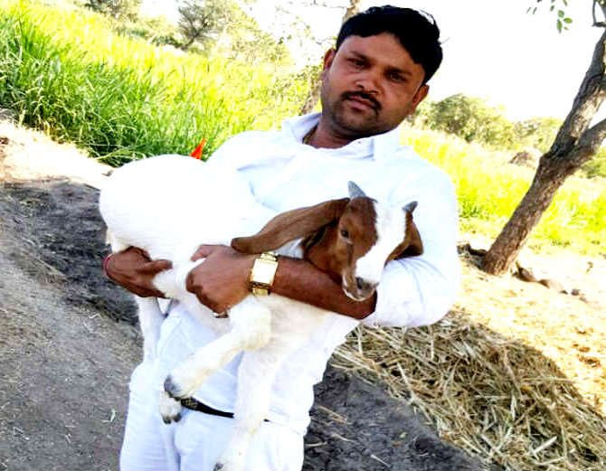 There Was No Money To Start A Business This 10th Pass Guy Earns 1 Crore Per Month By Selling Goats credityatra