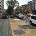 Amazing Coincidences From Around The World