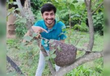 Came to bees after studying at IIM, Now started the campaign to save the environment Came to bees after studying at IIM, Now started the campaign to save the environment credityatra